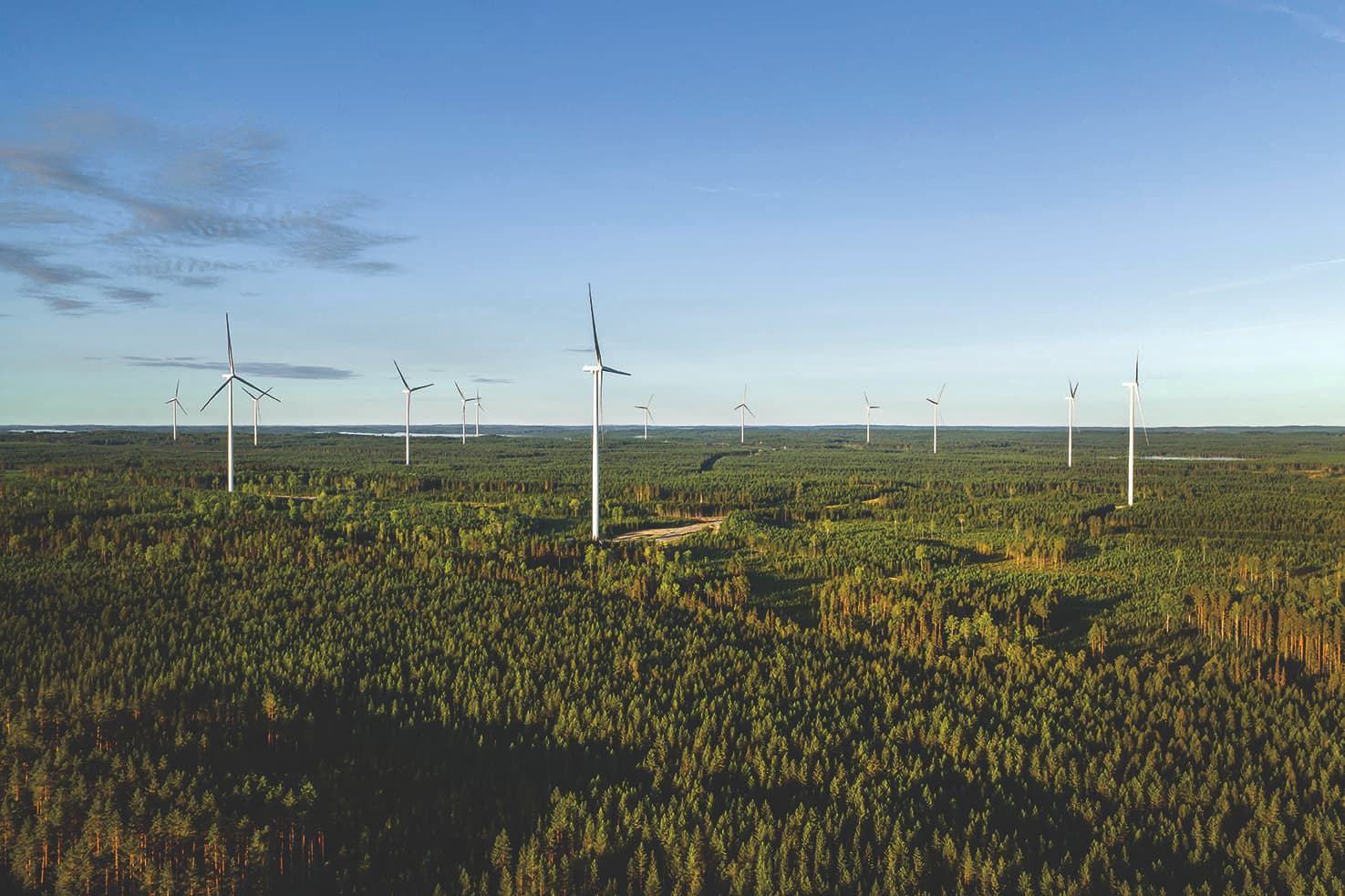 Multiple wind turbines spread across a dense green forest under a clear blue sky.